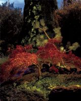 Norlys Sande Terræn Spot Norlys Sande Terræn Spot