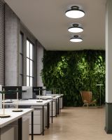 Asteria Up Large Loftlampe - Sort Asteria Up Large Loftlampe - Sort